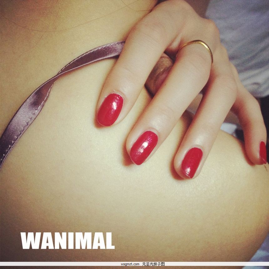 WANIMALƷʥͼߣ[119P]ȫ